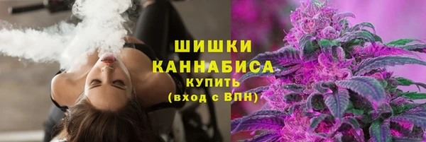 PSILOCYBIN Кодинск
