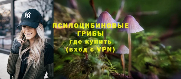 а пвп мука Козловка