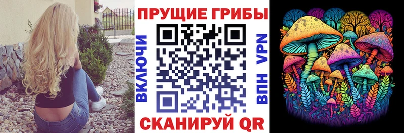 Купить где  Луховицы  Псилоцибиновые грибы мухоморы 